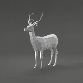 Deer